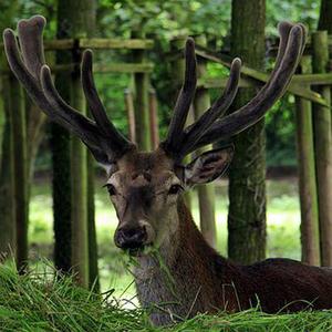 从277AG娱乐官方直营平台真人视讯返水高首存送88元亿元到47万亿元——国内消费市场繁荣壮大